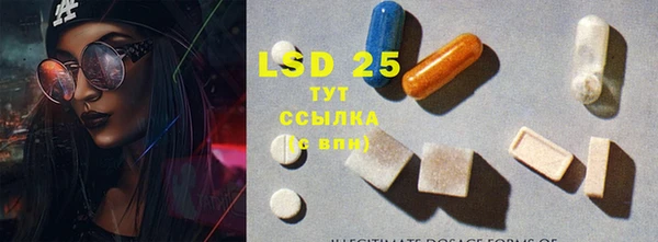 соль ск Богданович