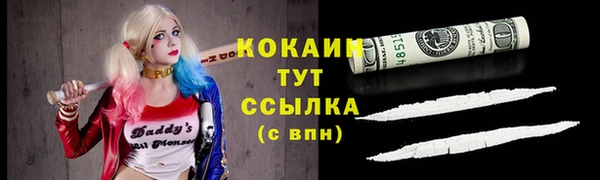 соль ск Богданович