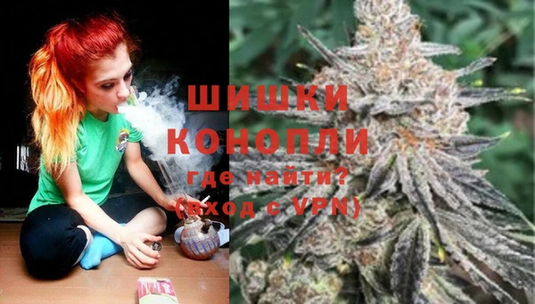 соль ск Богданович