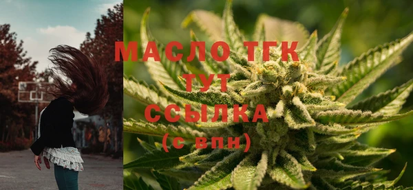 соль ск Богданович
