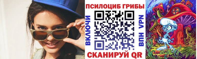 Псилоцибиновые грибы Psilocybe Егорьевск