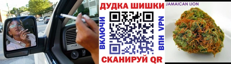 OMG зеркало  Егорьевск  Каннабис план 